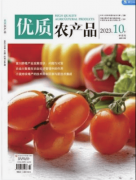 想系统的构成至关