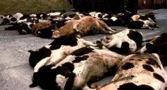 党节制的正试图立